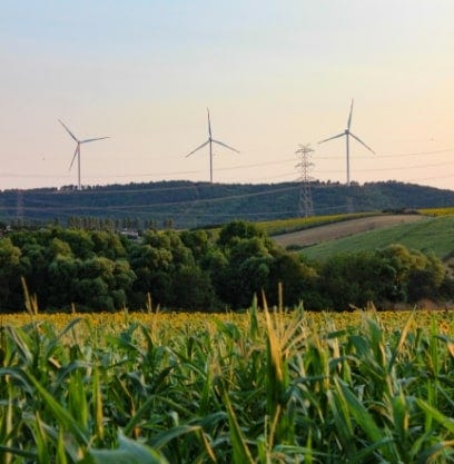 Net-Zero Emissions Goals Net-Zero Emissions Goals