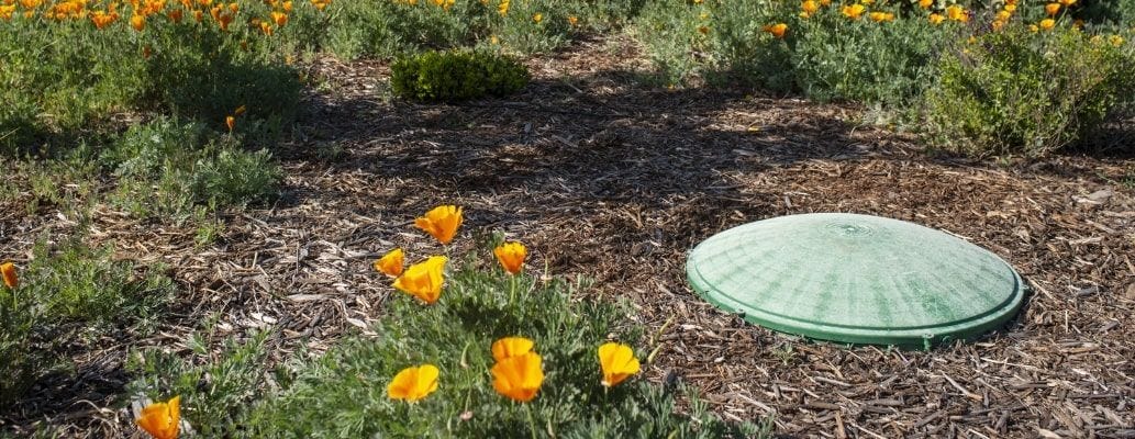 How Long Do Septic Tanks Last? 14 Pro Tips to Improve the Health of Your Septic Tank