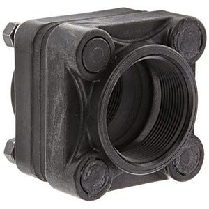 Buy 2 Inch X 2 Inch Threaded Bolted Tank Flange with EPDM Gasket by Banjo Fittings and Valves for only $52.78