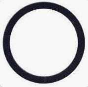 Buy Viton Gasket for 3 Inch Fitting by Chemtainer for only $186.00