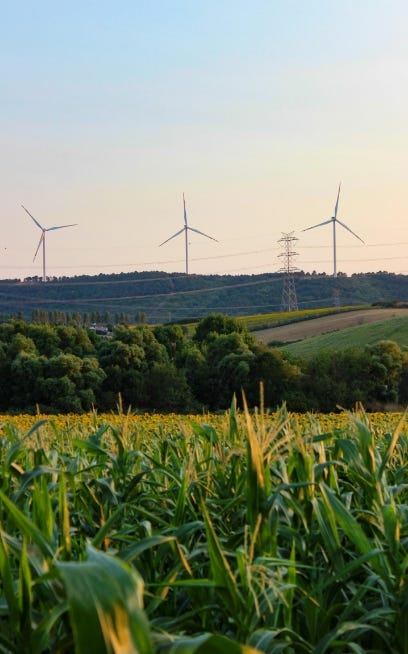 Net-Zero Emissions Goals